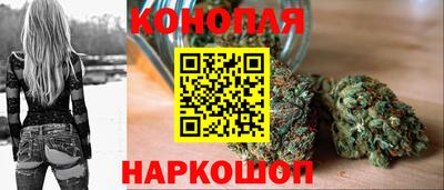 ПСИЛОЦИБИНОВЫЕ ГРИБЫ Гусев