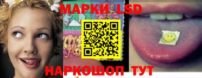 ПСИЛОЦИБИНОВЫЕ ГРИБЫ Гусев