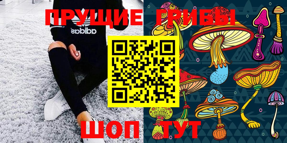 Галлюциногенные грибы Psilocybine cubensis Кировск