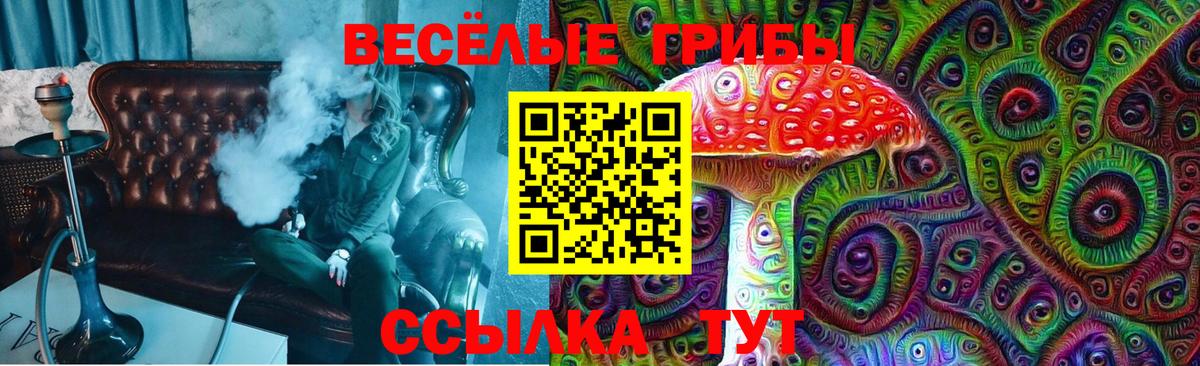 Псилоцибиновые грибы мицелий  Вход с VPN  Кировск 